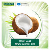  Dầu gội Palmolive kèm xả 2-trong-1 chiết xuất thiên nhiên 600ML 