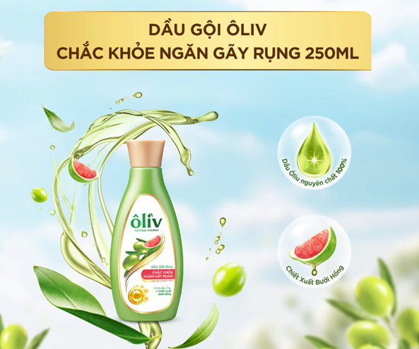  Dầu Gội ÔLIV Nuôi Dưỡng Tóc Chắc Khỏe Bồng Bềnh/Ngăn Gãy Rụng/Phục Hồi Hư Tổn 250ML/650ML/1L 