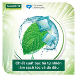  Dầu gội Palmolive kèm xả 2-trong-1 chiết xuất thiên nhiên 600ML 