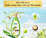  Dầu Gội ÔLIV Nuôi Dưỡng Tóc Chắc Khỏe Bồng Bềnh/Ngăn Gãy Rụng/Phục Hồi Hư Tổn 250ML/650ML/1L 