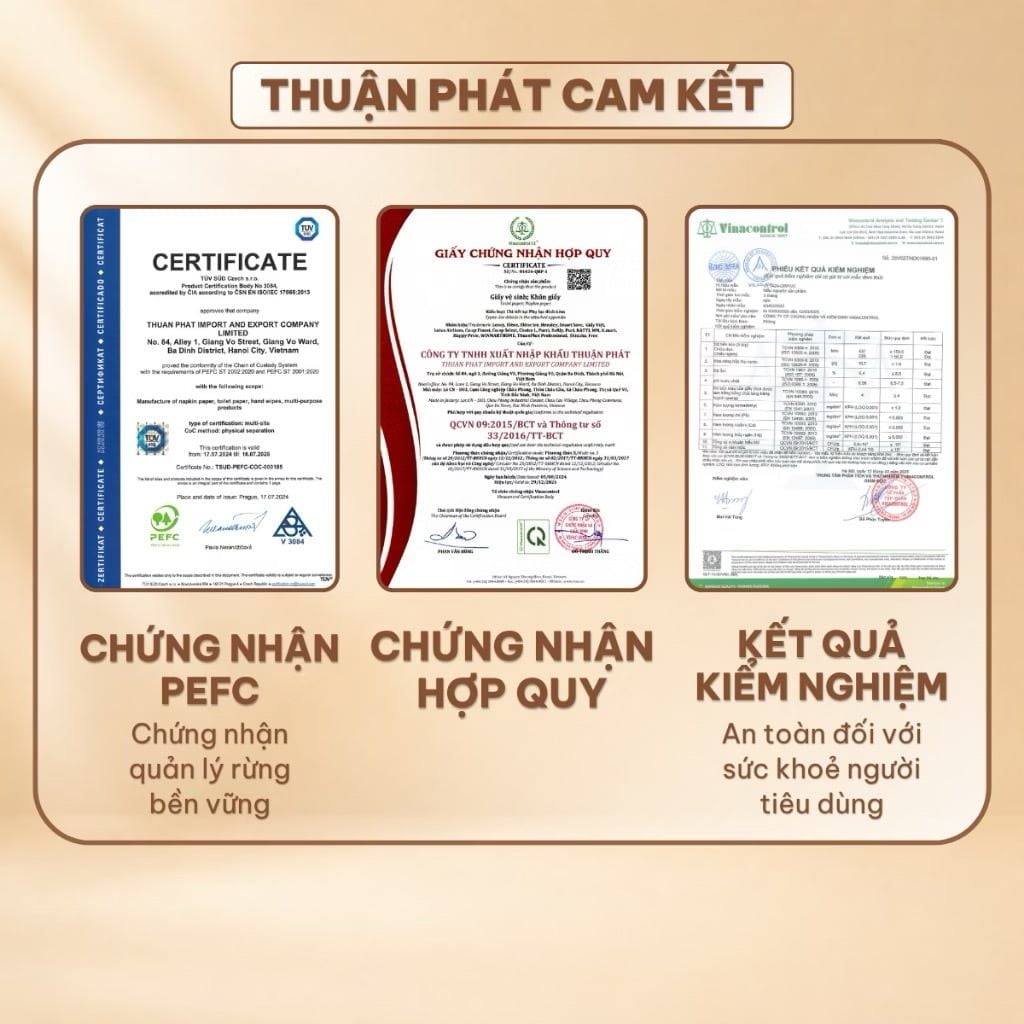  Khăn Giấy Lụa Rút Đáy Elene 250 Lần Rút 4 Lớp Mềm Mịn, Tiện Lợi, An Toàn (Giấy rút cỡ nhỏ) 