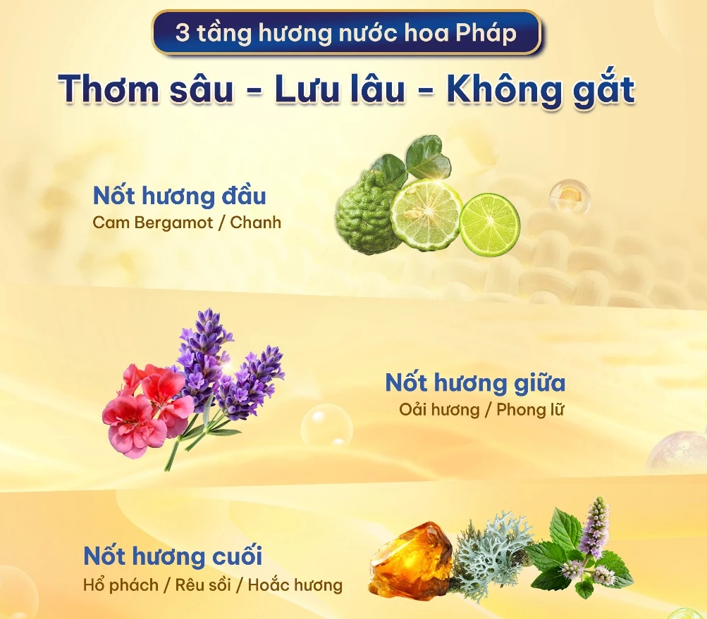  Nước Giặt Quần Áo LORD Hương Nước Hoa Đậm Đặc Sạch Khuẩn Lưu Hương Thơm Cựu Lâu 72H An Toàn Cho Da 3.2-3.5kg 