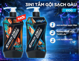 Tắm Gội Sạch Gàu 3in1 Xmen Everest Coffee & Aquaport 610g, Tác Động 3X Sạch Gàu Nhờn Ngứa,Mùi Hương Nam Tính 