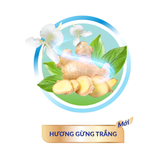  Tã/Bỉm dán người lớn siêu thấm Caryn dành cho người hạn chế khả năng đi lại Size XL (10/20pcs) 