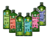  Dầu gội thiên nhiên Không Sulfate Không Silicone Yves Rocher Shampoo 300ml 