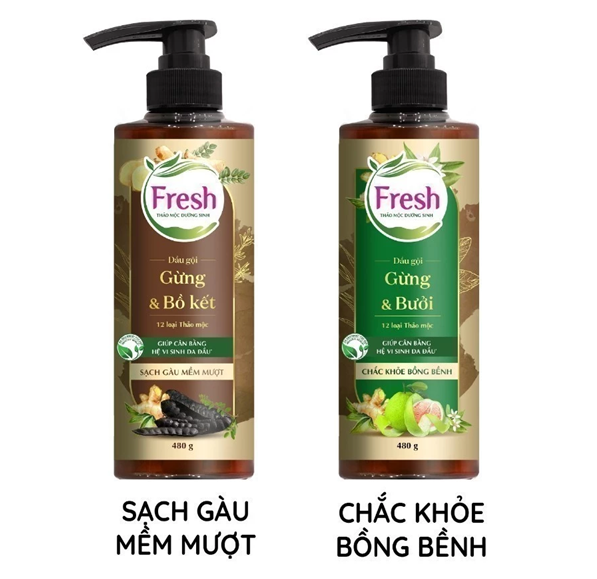  Dầu Gội FRESH Thảo Mộc Dưỡng Sinh 480g (Sạch Gàu Mềm Mượt / Chắc Khỏe Bồng Bềnh) 