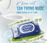  Khăn ướt đi toilet có thể xả trong bồn cầu Flushable EcoWipes gói 20 tờ hương tự nhiên 