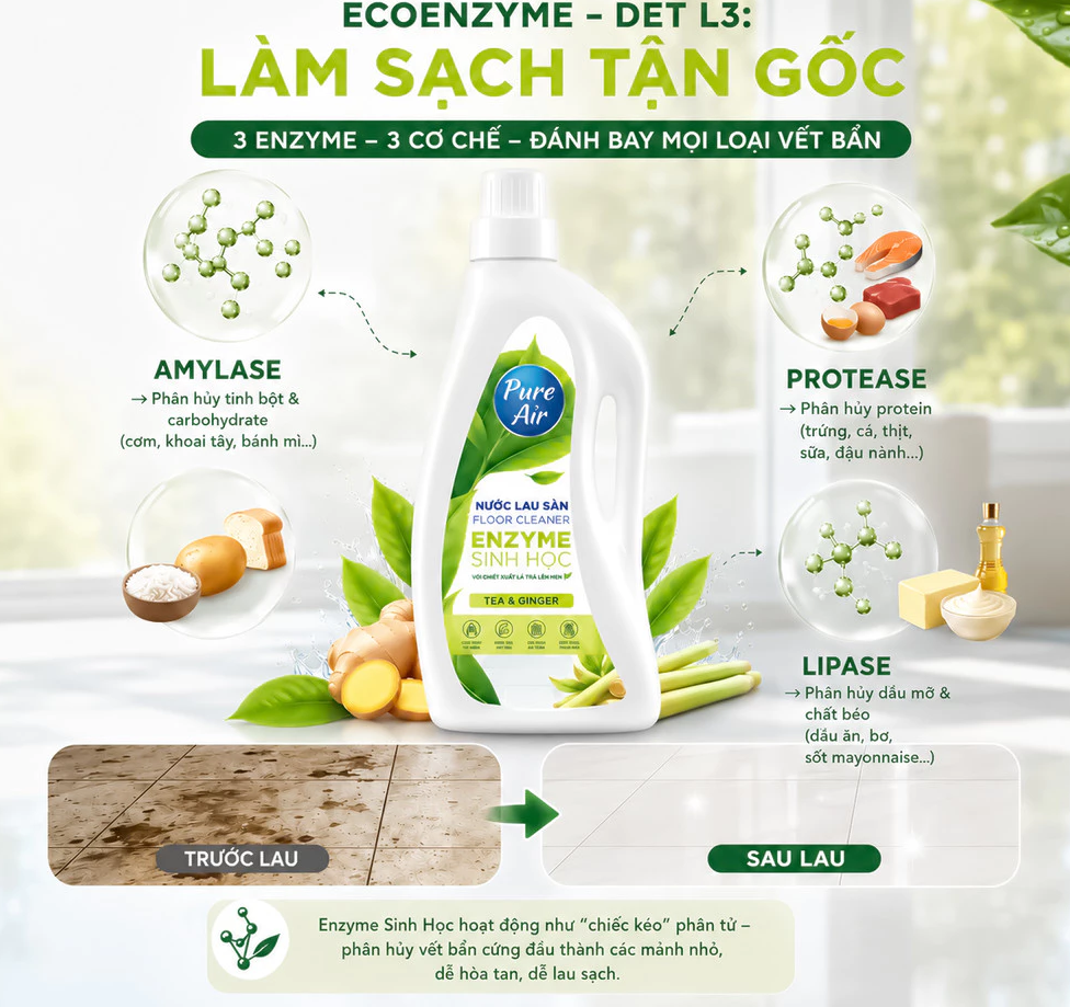  Nước Lau Sàn Enzyme Sinh Học Pure Air 1.1-2.3L Hỗ Trợ Làm Sạch Khử Mùi, Mang Lại Không Gian Sạch Sẽ, Thoáng Mát 