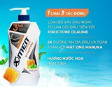  Tắm Gội Xmen Clean&Fresh Sạch Gàu Sạch Sâu 610g Thành Phần Thiên Nhiên Chiết Xuất Bạc Hà Mát Lạnh 