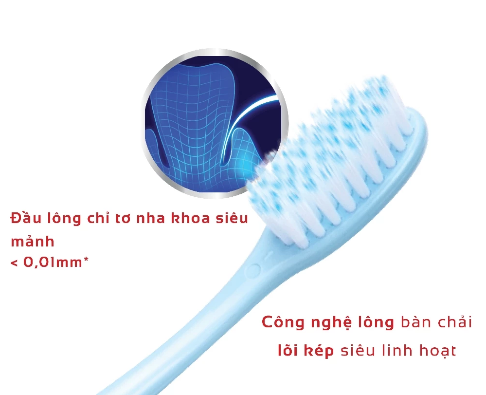  Bàn Chải Đánh Răng Lipzo Flex Khay Màu Pastel Công Nghệ Lông Bàn Chải Lõi Kép Chỉ Tơ Nha Khoa Siêu Linh Hoạt 