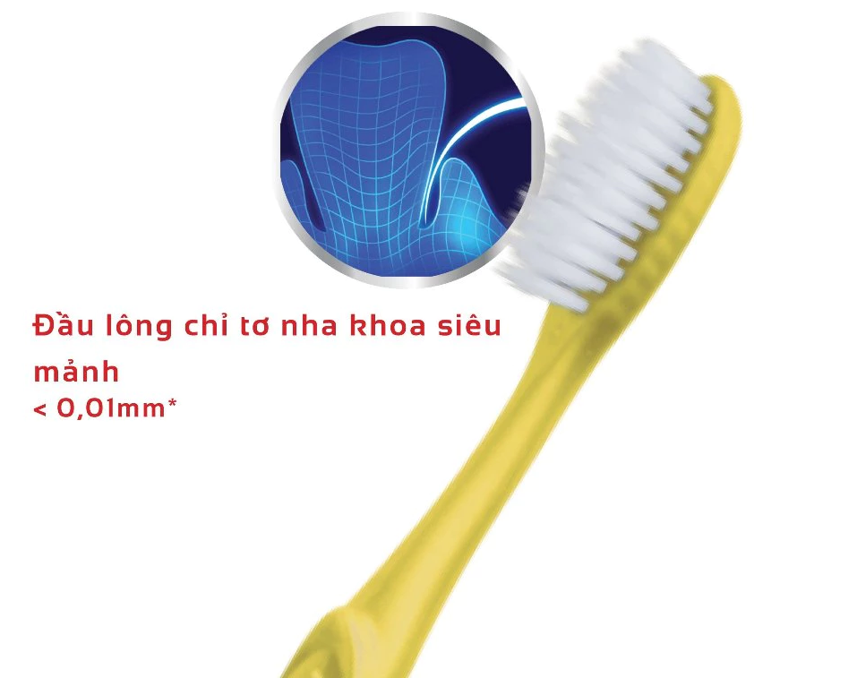  Bàn Chải Đánh Răng Lipzo Maxcare Dành Cho Người Lớn Công Nghệ Lông Chỉ Tơ Nha Khoa Mảnh Siêu Bền 