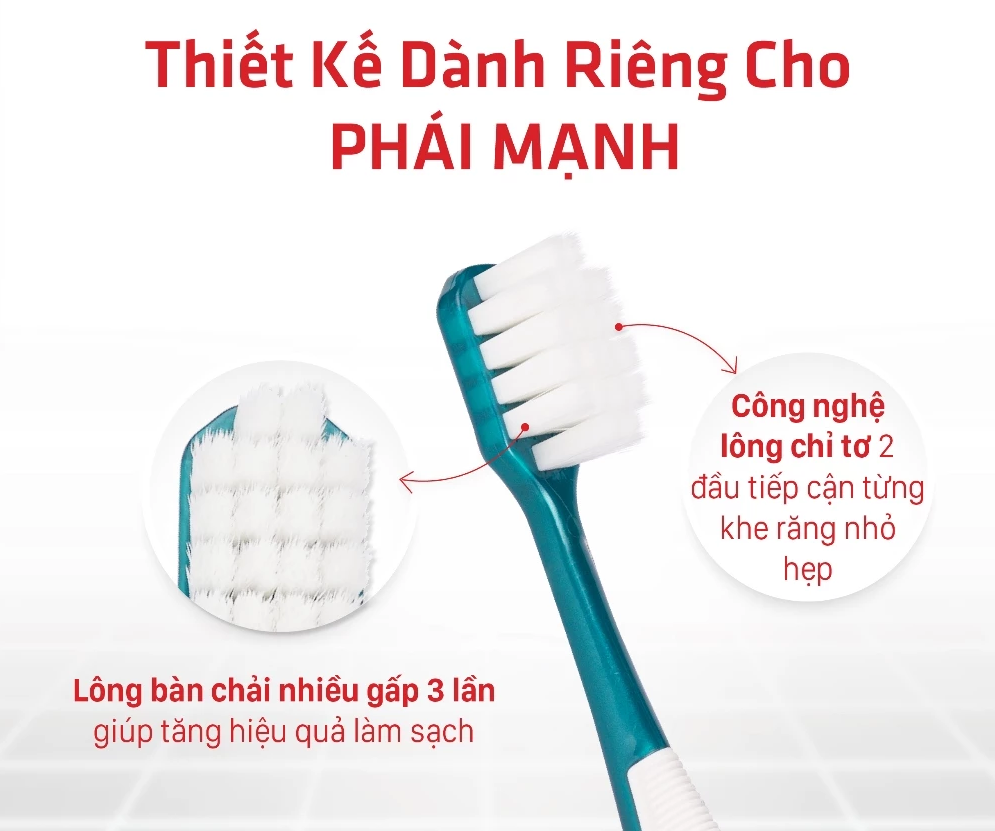  Bàn Chải Lipzo Adam Cao Cấp – Mật Độ Lông Dày Gấp 3 Lần Làm Sạch Mảng Bám, Bảo Vệ Nướu Răng Hiệu Quả 