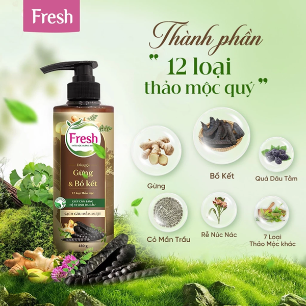  Dầu Gội FRESH Thảo Mộc Dưỡng Sinh 480g (Sạch Gàu Mềm Mượt / Chắc Khỏe Bồng Bềnh) 
