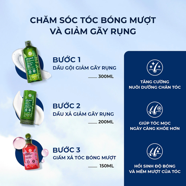  Dầu gội giảm tóc gãy rụng Yves Rocher Anti-Hair Loss With White Lupin Fortifying Shampoo 300ml 