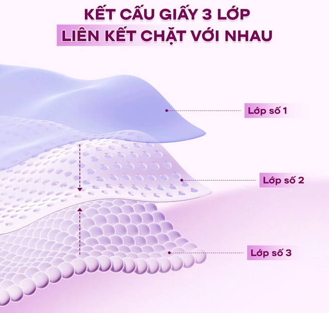  Giấy vệ sinh Silkwell Tím cao cấp 10 cuộn 3 lớp có lõi siêu mềm mịn không tẩy trắng 