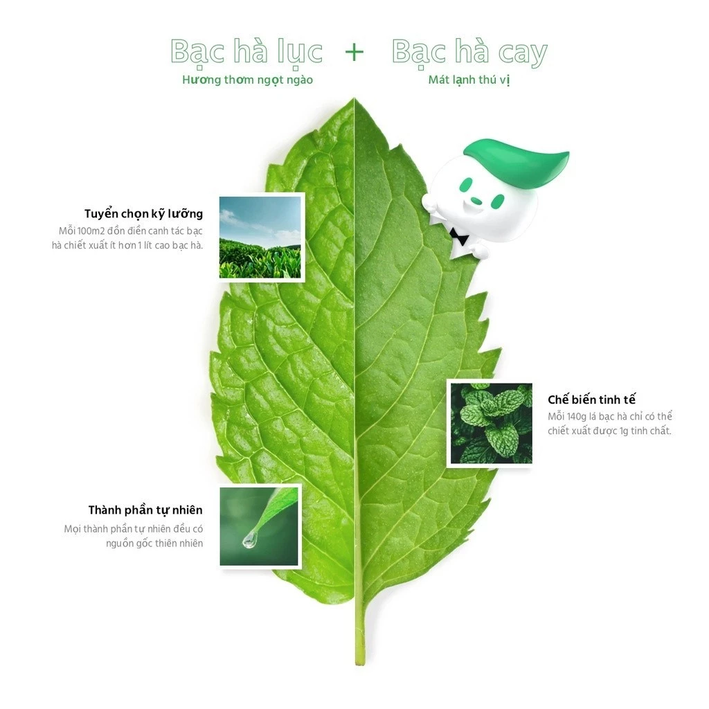  Kem Đánh Răng Darlie Tea Care Trà Xanh Bạc Hà 140g 