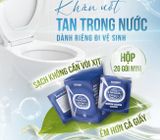 Khăn ướt đi toilet có thể xả trong bồn cầu Flushable EcoWipes Hộp 40 gói (gói 1 tờ) 