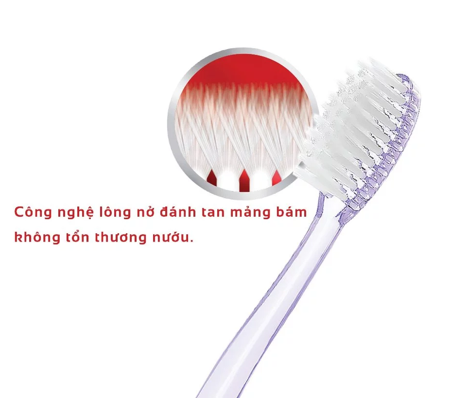  Bộ Đôi Tiết Kiệm Bàn Chải Đánh Răng Lipzo Crystal Love For Girl Cho Nữ Giới Công Nghệ Lông Nở Kết Hợp Chỉ Tơ Nha Khoa 