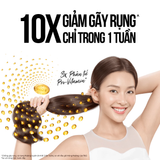  Dầu Gội PANTENE Pro-V Ngăn Rụng Tóc/ Phục Hồi Hư Tổn/ Suôn Mượt Óng Ả/ Giảm Gàu/ Dưỡng Ẩm - Chai 650ml 