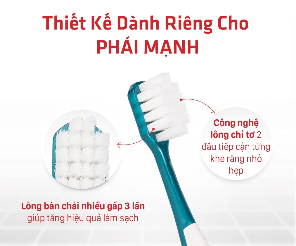  Bộ Đôi Tiết Kệm Bàn Chải Đánh Răng Lipzo Adam Cấu Tạo Lông Bàn Chải Đặc Biệt Làm Sạch Mảng Bám 