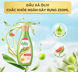  Dầu Xả ÔLIV Phục Hồi Hư Tổn/Chắc Khỏe Ngăn Gãy Rụng/Chắc Khỏe Bồng Bềnh 250ML & 650ML 