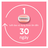  Dao Cạo Nữ GILLETTE Venus Hương Hoa Trà Trắng White Tea - Hộp 1 Cán 2 Lưỡi dao cạo 