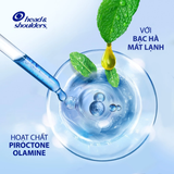  Dầu Gội Sạch Gàu HEAD & SHOULDERS Bạc Hà/ Giảm Ngứa Da Đầu/ Hương Chanh/ Sạch Sâu/ Làm Sạch Vi Khuẩn Chai 850ml 