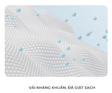  Quần Lót Miễn Giặt Sinh Lý Body-Mate Nữ, 5 Cái/Bao 