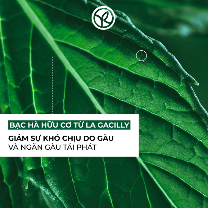 Dầu gội ngăn ngừa gàu Yves Rocher Anti-Dandruff Treatment Shampoo 300ml 