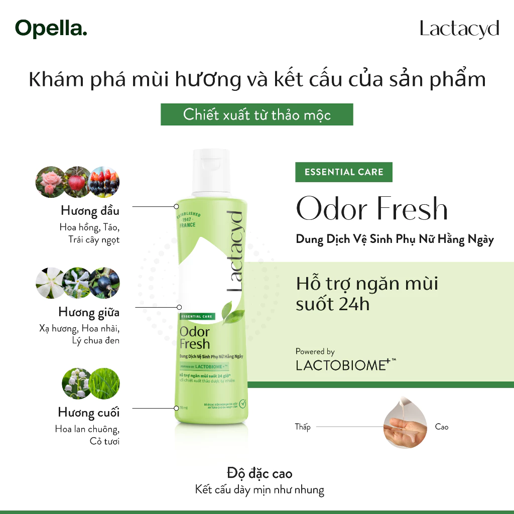  Dung Dịch Vệ Sinh Phụ nữ Lactacyd Odor Fresh Ngăn Mùi 24H 250ml 
