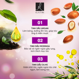  Dầu gội chăm sóc tóc Elastine Silk Repair 550ml Hương Hoa Anh Đào 