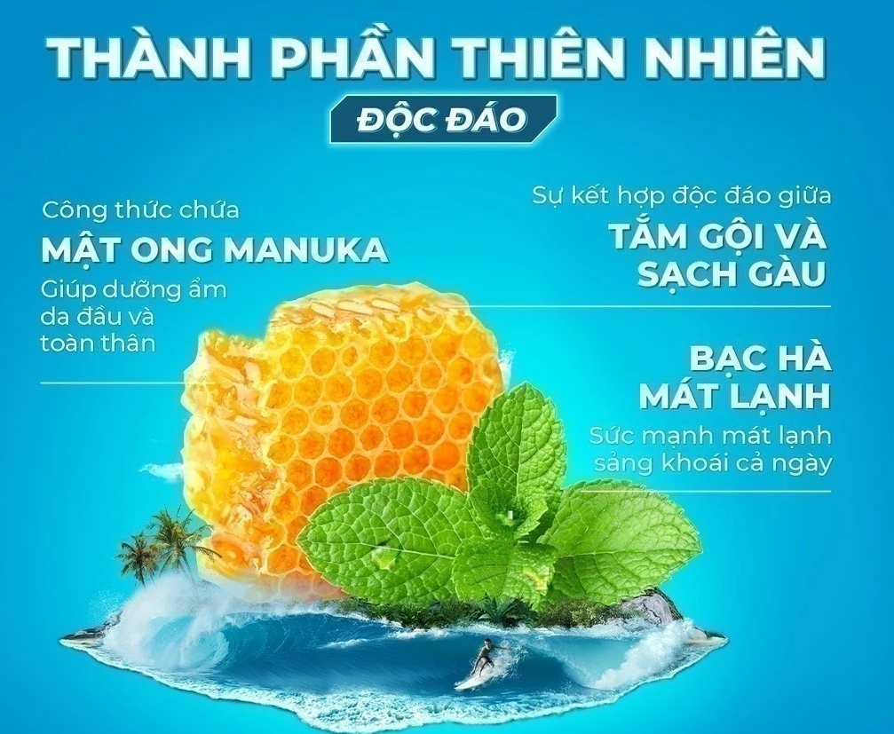  Tắm Gội Xmen Clean&Fresh Sạch Gàu Sạch Sâu 610g Thành Phần Thiên Nhiên Chiết Xuất Bạc Hà Mát Lạnh 