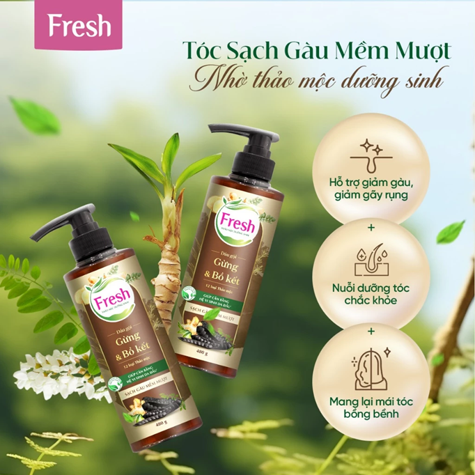  Dầu Gội FRESH Thảo Mộc Dưỡng Sinh 480g (Sạch Gàu Mềm Mượt / Chắc Khỏe Bồng Bềnh) 