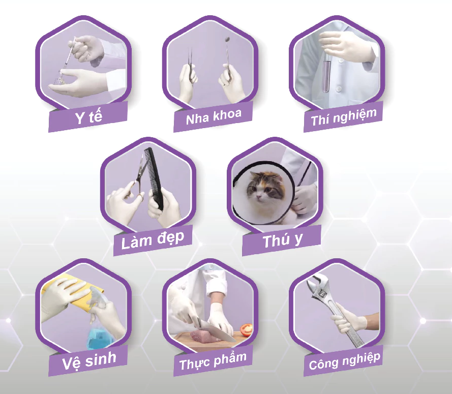  Găng tay y tế Sgloves Latex KHÔNG BỘT 5.0g 100 chiếc/hộp 