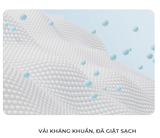  Quần Lót Miễn Giặt Lưng Thấp Body-Mate Nữ, 5 Cái/Bao 