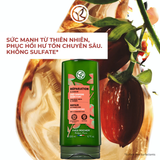  Dầu xả phục hồi tóc hư tổn Yves Rocher Repair Hair Care Restoring Conditioner 200ml 