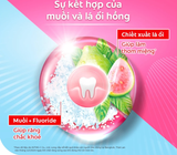  Kem Đánh Răng Colgate Muối Lá Ổi Hồng giảm hôi miệng và vi khuẩn tích tụ 150g/ tuýp 