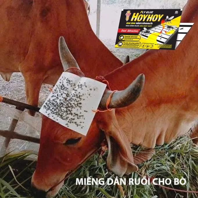  Keo Dính Ruồi ARS HOY HOY Siêu Dính, An Toàn, Hiệu Quả Cao 
