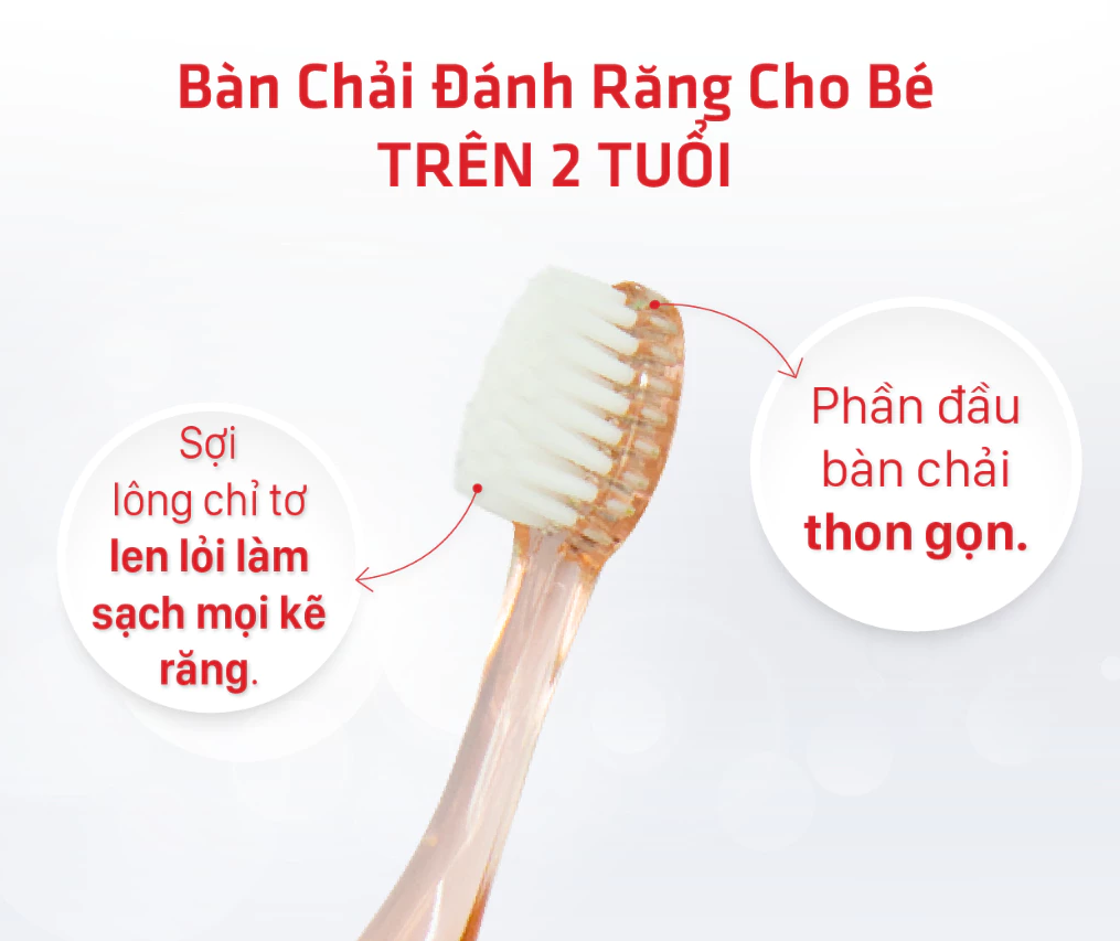  Bàn Chải Đánh Răng Trẻ Em Lipzo Crystal Kids Lông Mềm Kháng Khuẩn Bảo Vệ Nướu Cho Bé Từ 2 Tuổi 