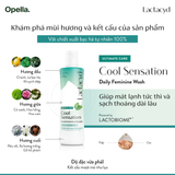  Dung Dịch Vệ Sinh Phụ Nữ Lactacyd Cool Sensation 250ml Mát Lạnh & Sạch Thoáng Dài Lâu 