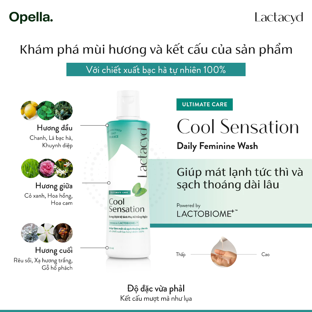  Dung Dịch Vệ Sinh Phụ Nữ Lactacyd Cool Sensation 250ml Mát Lạnh & Sạch Thoáng Dài Lâu 