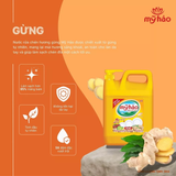  Nước Rửa Chén An Toàn Cho Da Và 5X Đậm Đặc Mỹ Hảo Khử Sạch Mùi Tanh Can Vòi Bơm 3KG 