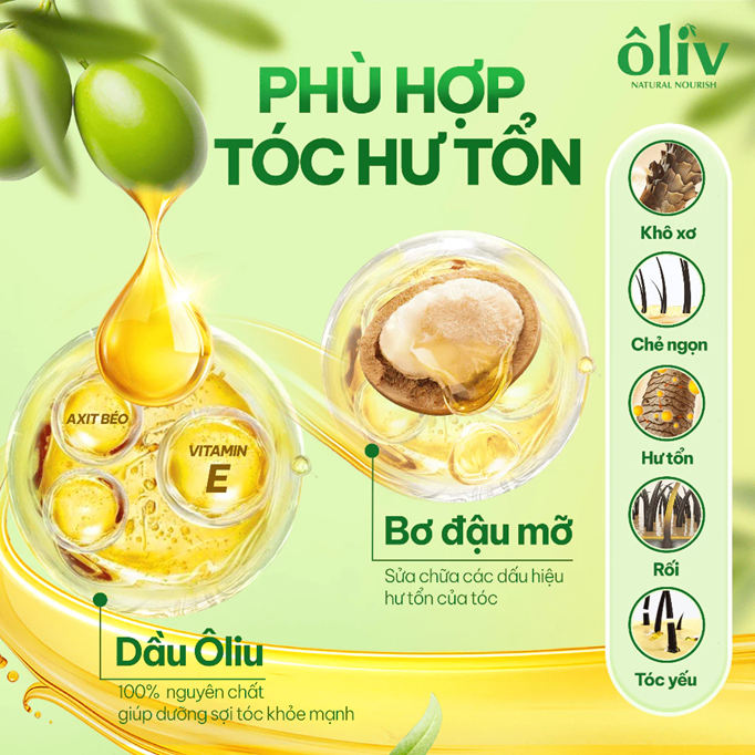  Dầu Xả ÔLIV Phục Hồi Hư Tổn/Chắc Khỏe Ngăn Gãy Rụng/Chắc Khỏe Bồng Bềnh 250ML & 650ML 