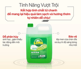  Nước Rửa Chén LORD Hương Chanh Tươi Mát Khử Mùi Hôi Đánh Bật Dầu Mỡ Dạng Chai Tiện Lợi 9.36 kg 
