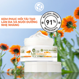  Kem Dưỡng Da Ngày Và Đêm Yves Rocher Calendula Regenerating Day Night Cream 50ml 
