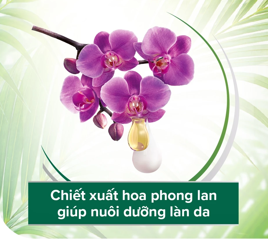  Sữa tắm Palmolive chiết xuất Sữa và Hoa Phong Lan Đen 1L 