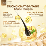  Mặt Nạ Tóc Dưỡng Chất Đa Tầng LASHE SUPERFOOD SCALP CARE 220G 