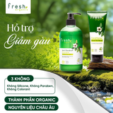  Dầu Gội FRESH ORGANIC Tinh Chất Tràm Giảm Gàu (Anti Dandruff) / Tinh Chất Hương Thảo Giảm Gãy Rụng (Volumizing) 500g 