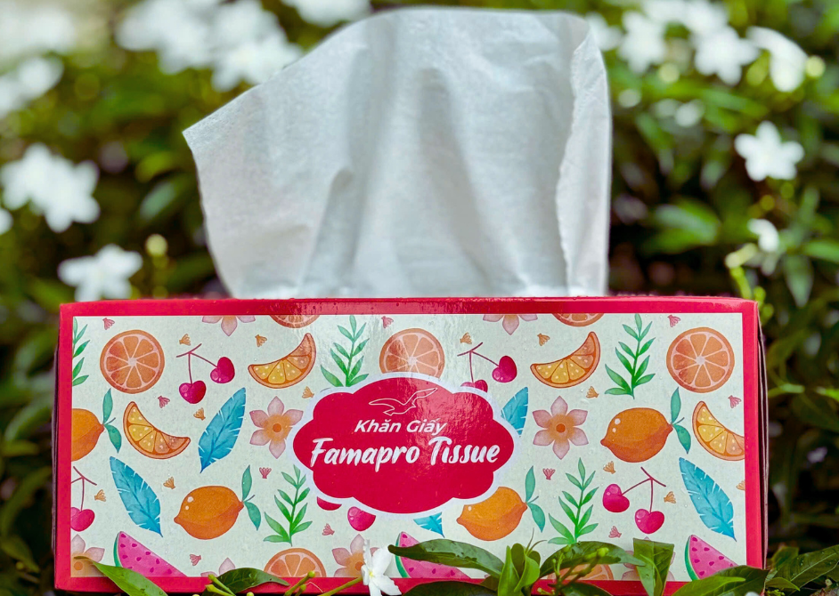  Khăn Giấy Lụa Hộp Cao Cấp Famapro Premium Tissue 190×200 mm 