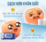  Khăn ướt đi toilet có thể xả trong bồn cầu Flushable EcoWipes gói 20 tờ hương tự nhiên 